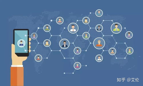 公域與私域的劃分及私域流量在信息咨詢服務中的應用